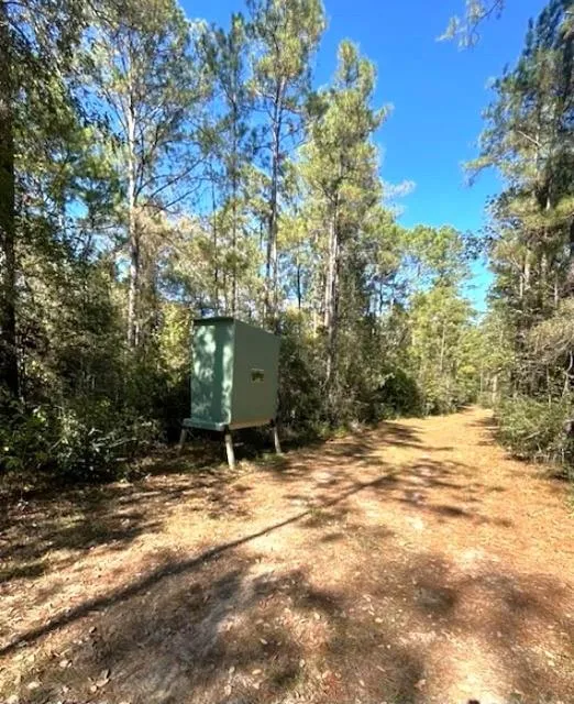 2231 Cr 3550 Woodville, TX 75979