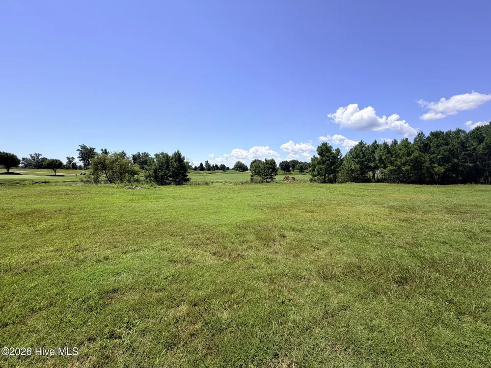 132 E Royal Way Merry Hill, NC 27957