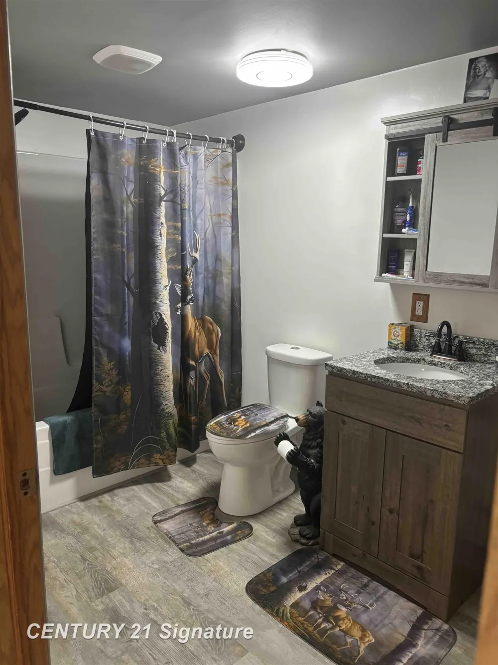 234 W Elder Drive Summerfield Township, MI 48625
