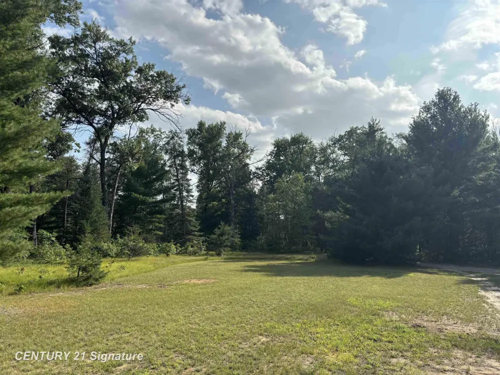 234 W Elder Drive Summerfield Township, MI 48625