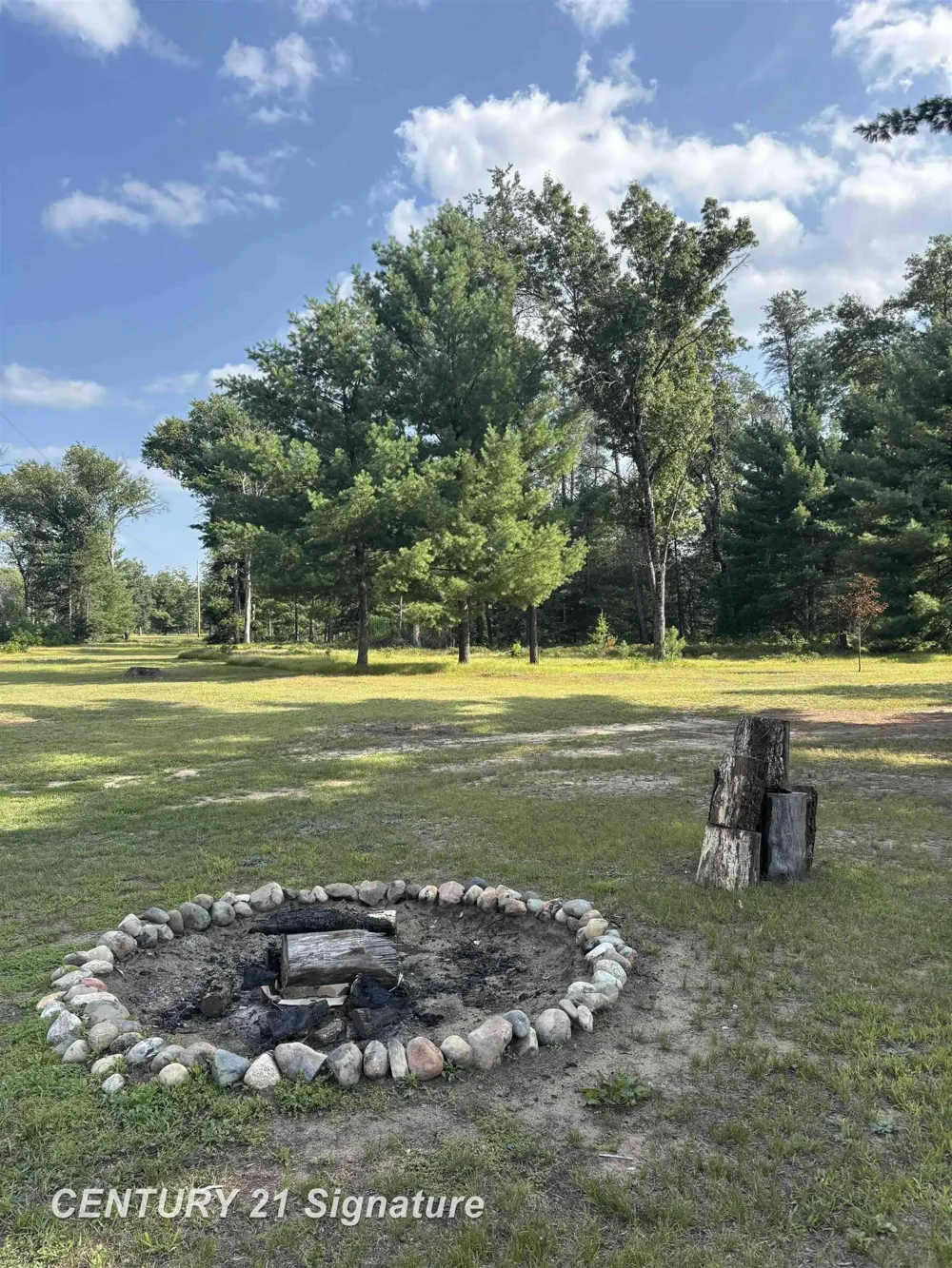 234 W Elder Drive Summerfield Township, MI 48625