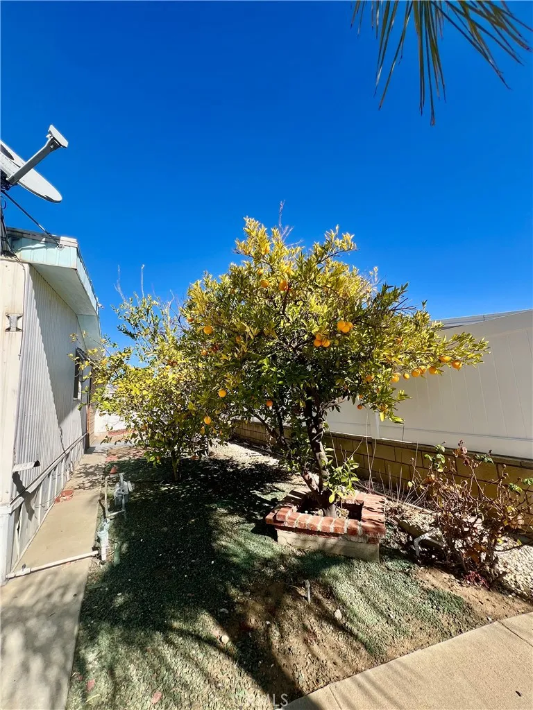 30615 Arenga Palm Homeland, CA 92548