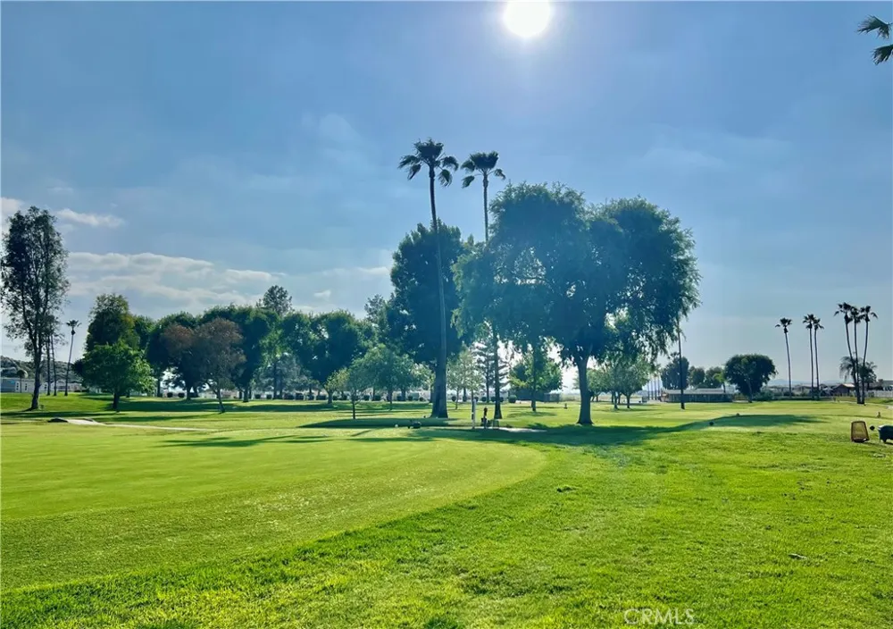 30615 Arenga Palm Homeland, CA 92548