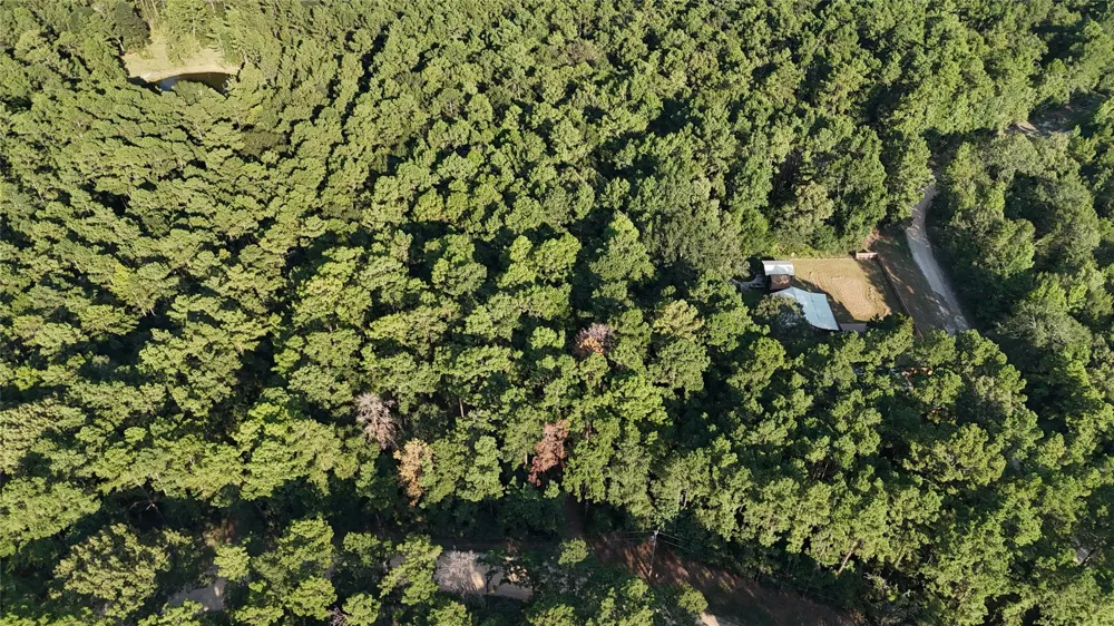 26 Deer Run Road Chester, TX 75936
