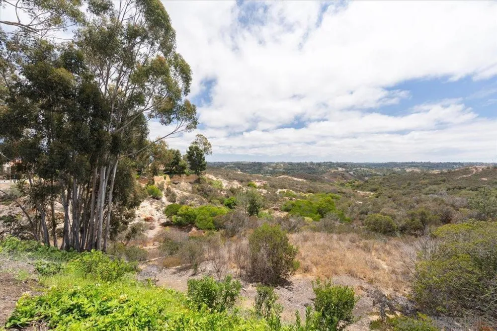 245 Fairlee Encinitas, CA 92024