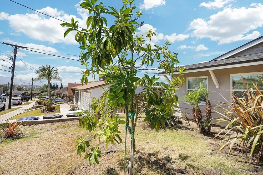 1138 Purdy St Spring Valley, CA 91977