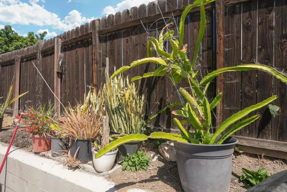 1138 Purdy St Spring Valley, CA 91977