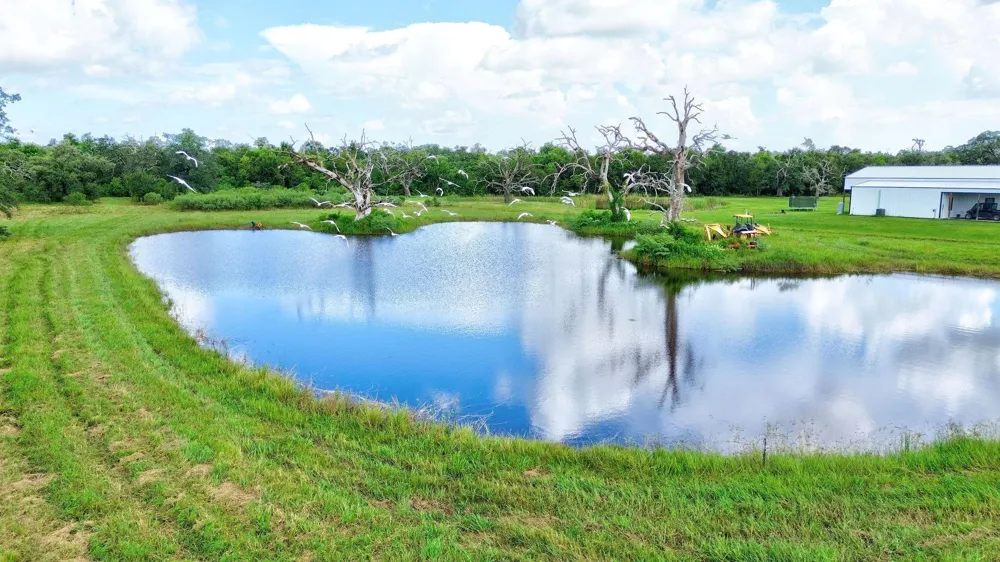 4 Fm 521 Angleton, TX 77515