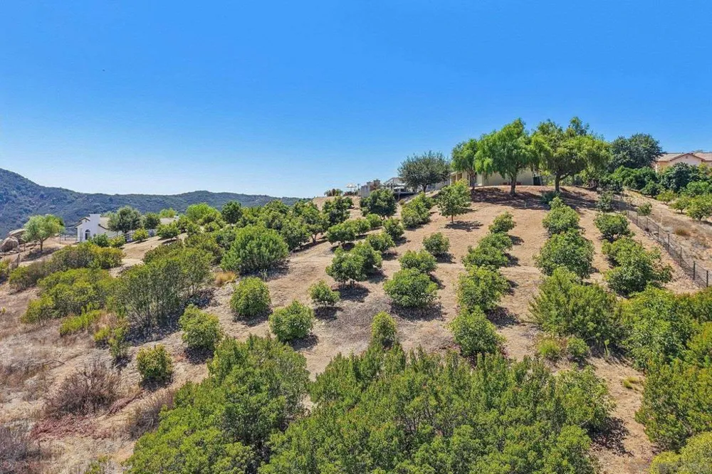 26379 Engelmann Valley Center, CA 92082