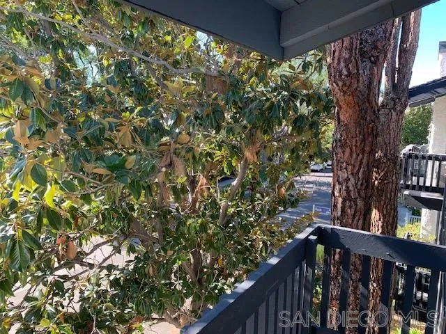 5003 Westpark Dr. #203 North Hollywood, CA 91601