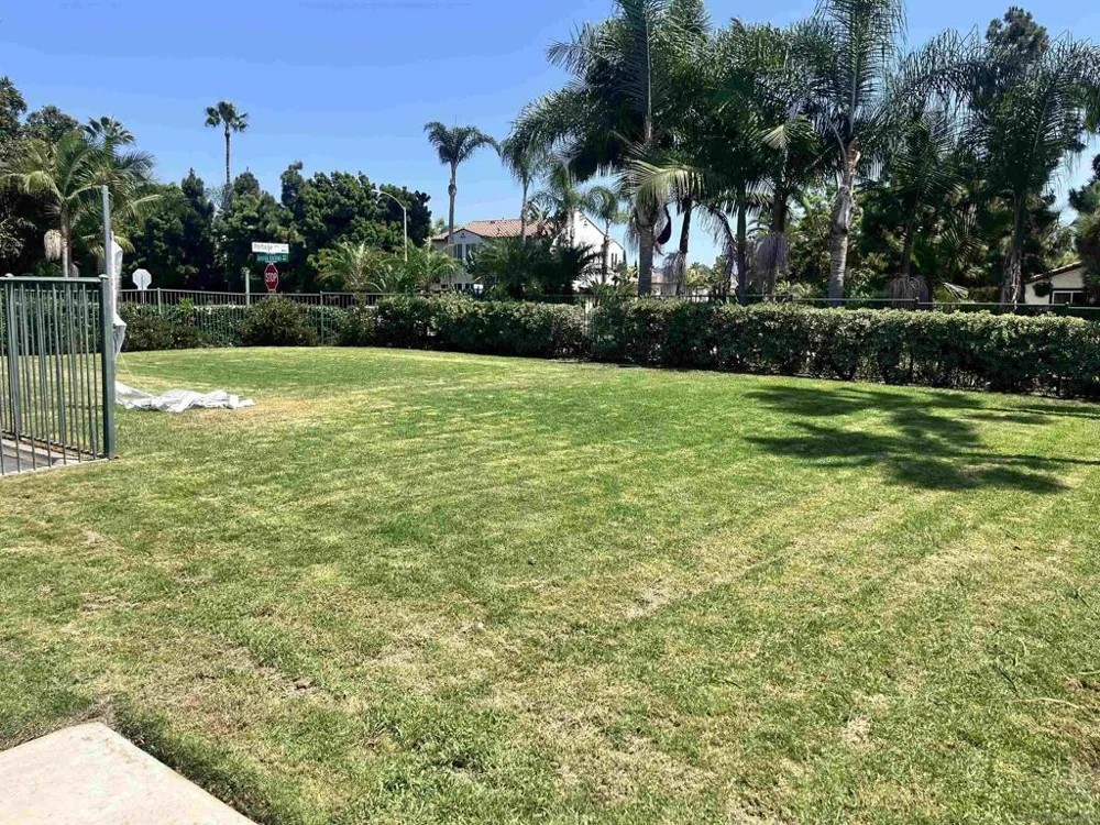 7481 Neptune Drive Carlsbad, CA 92011