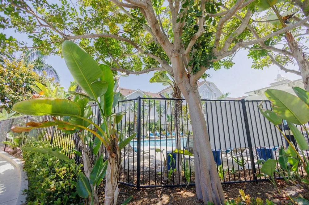 810 Harbor Cliff Way #230 Oceanside, CA 92054