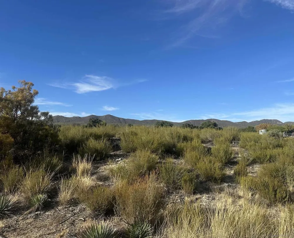 30006 Chihuahua Valley Warner Springs, CA 92086
