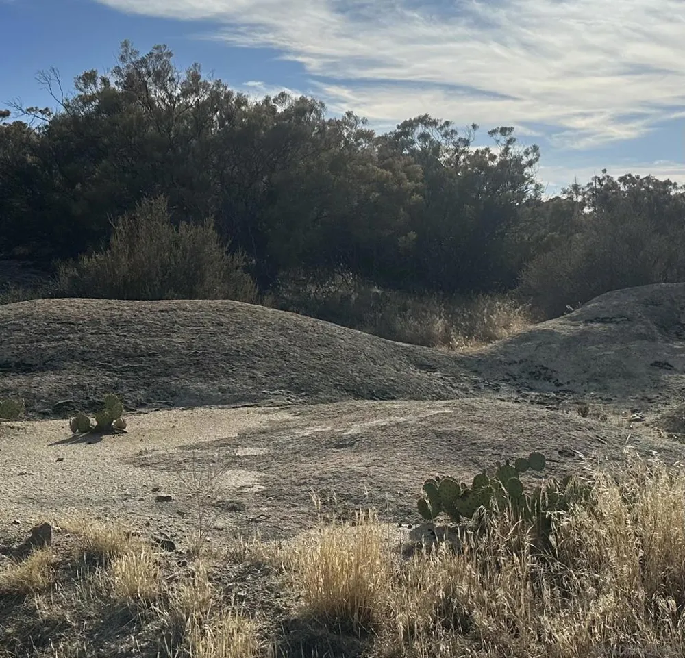 30006 Chihuahua Valley Warner Springs, CA 92086