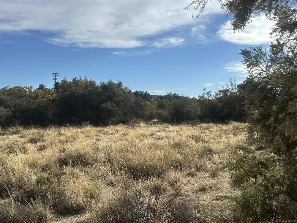 30006 Chihuahua Valley Warner Springs, CA 92086