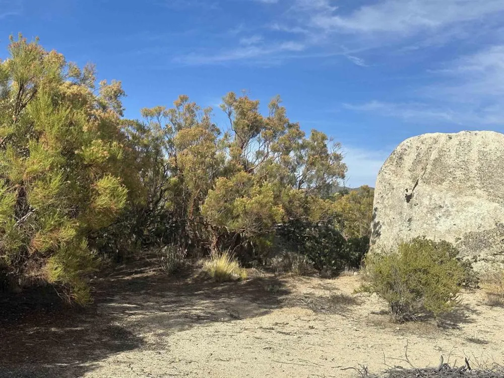 30006 Chihuahua Valley Warner Springs, CA 92086