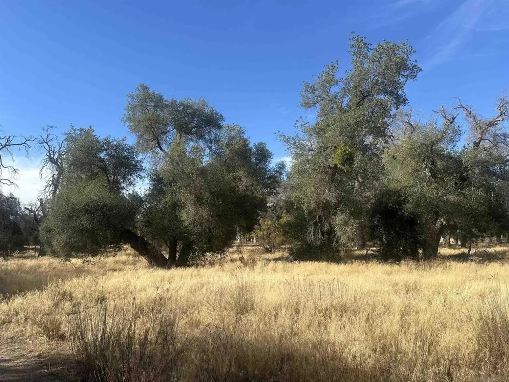 30006 Chihuahua Valley Warner Springs, CA 92086