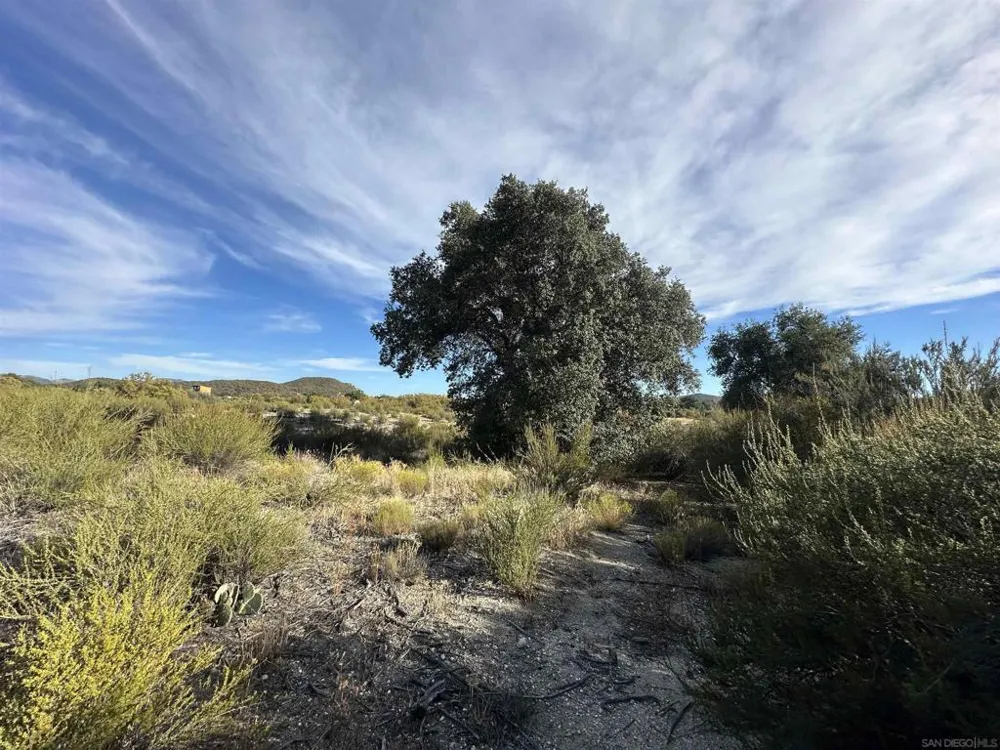 30006 Chihuahua Valley Warner Springs, CA 92086