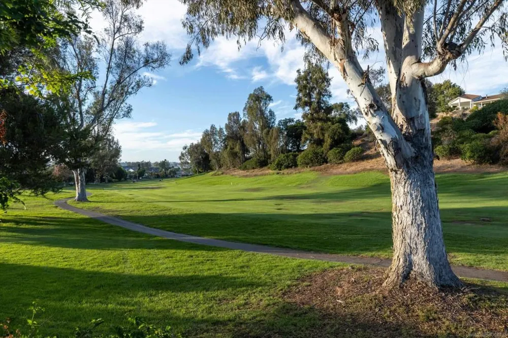 1157 San Pablo Dr San Marcos, CA 92078
