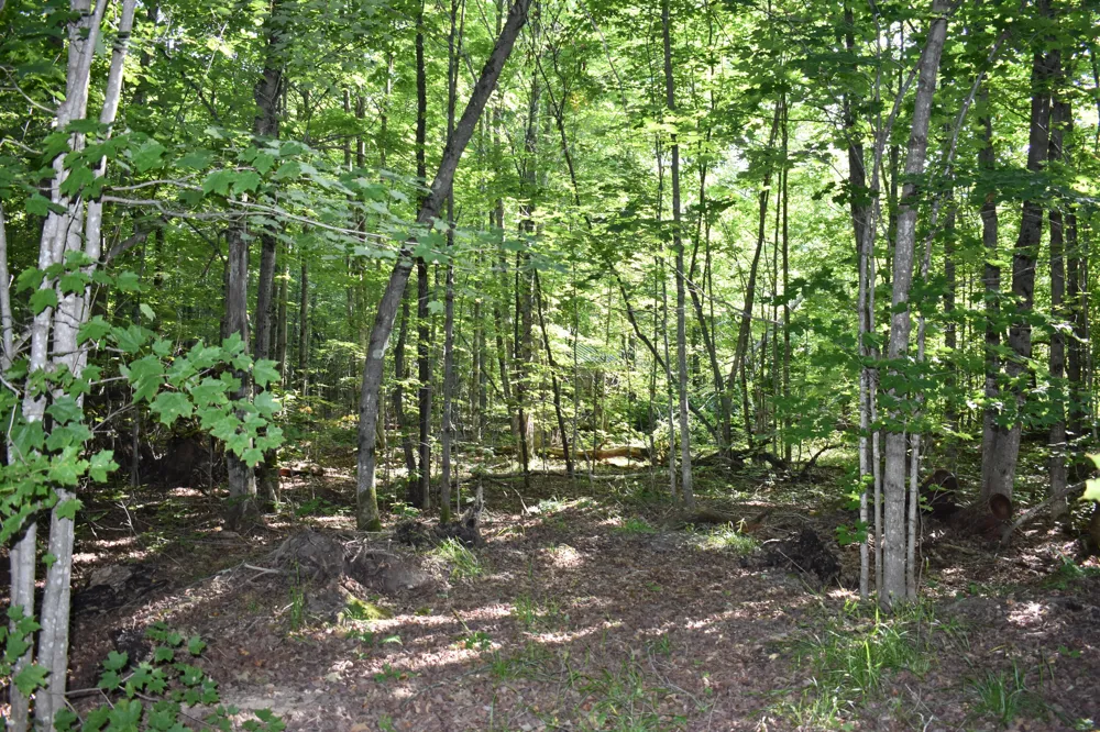 7516 Covert Road NE Unknown, MI 49659