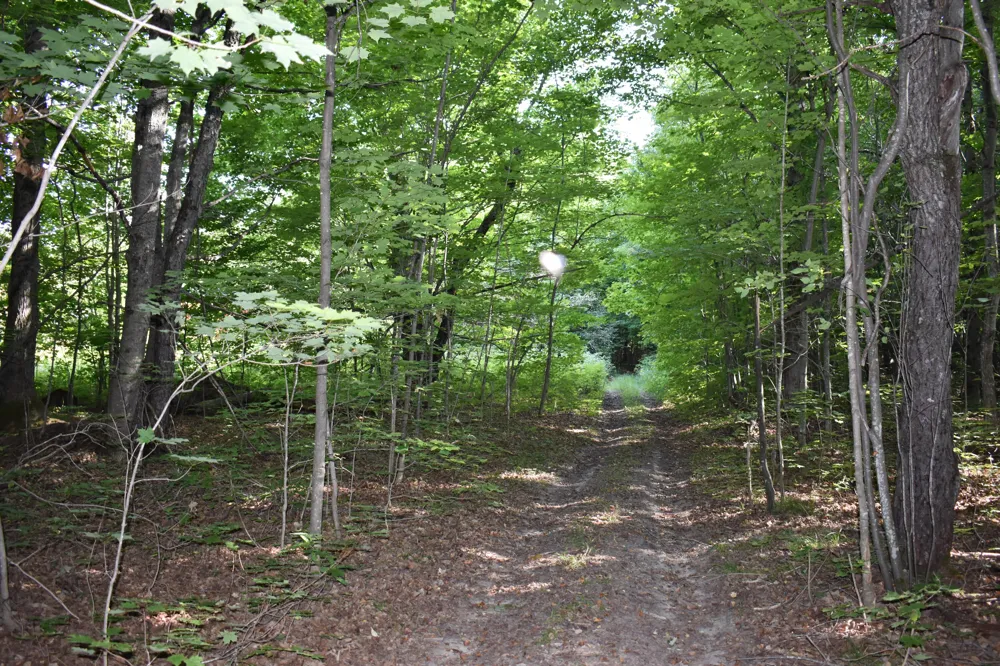 7516 Covert Road NE Unknown, MI 49659