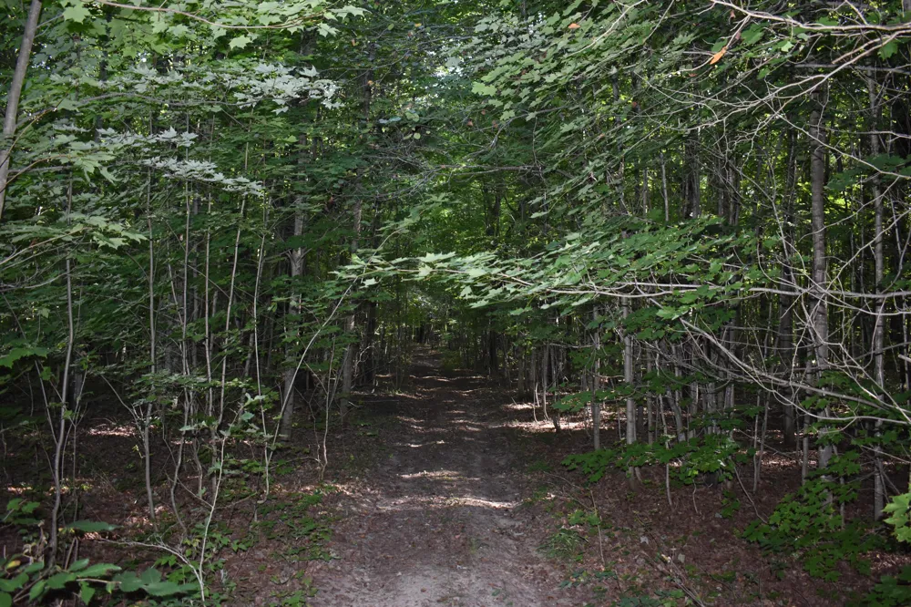 7516 Covert Road NE Unknown, MI 49659