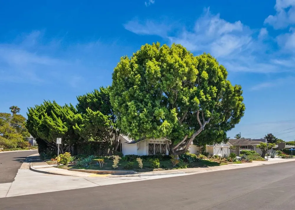 8925 Cliffridge Avenue La Jolla, CA 92037