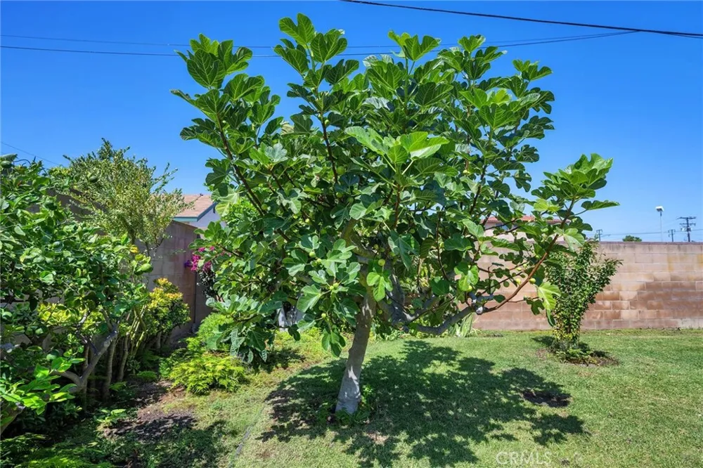 25433 Adamo Avenue Lomita, CA 90717
