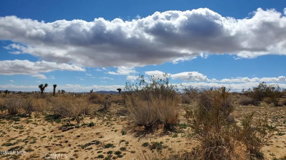 Reed Ave Mojave, CA 93501