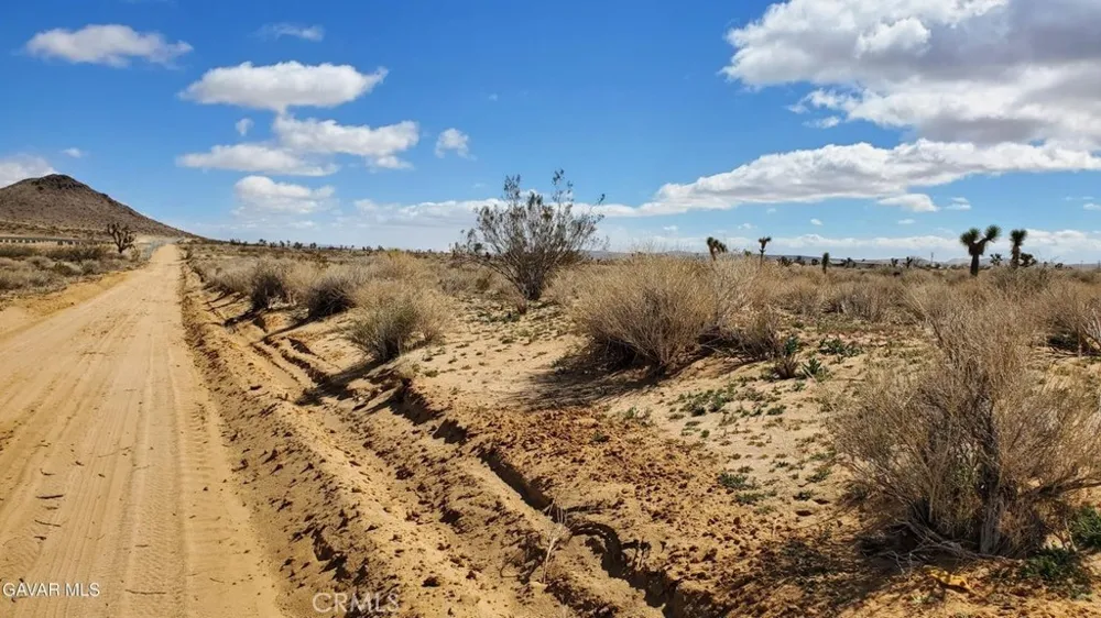 Reed Ave Mojave, CA 93501
