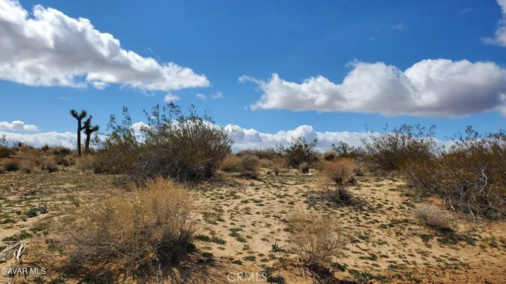Reed Ave Mojave, CA 93501