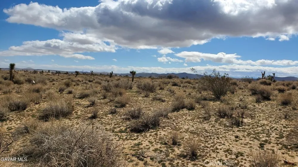 Reed Ave Mojave, CA 93501