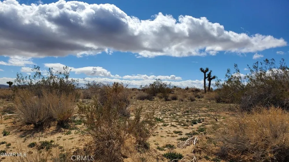 Reed Ave Mojave, CA 93501