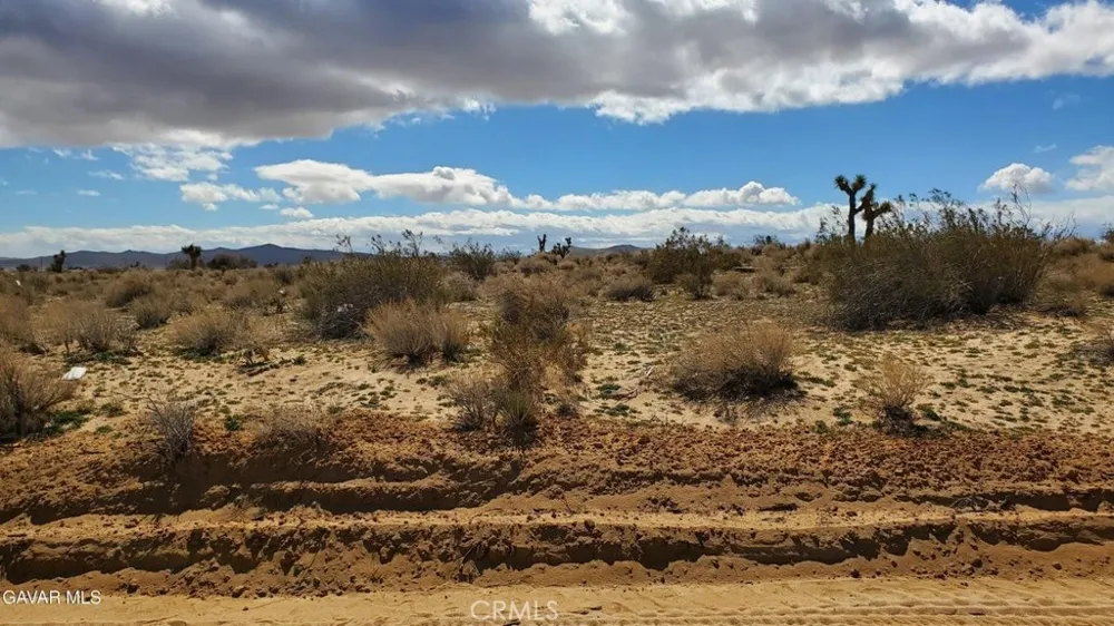 Reed Ave Mojave, CA 93501