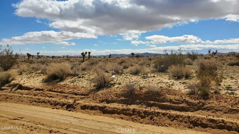 Reed Ave Mojave, CA 93501