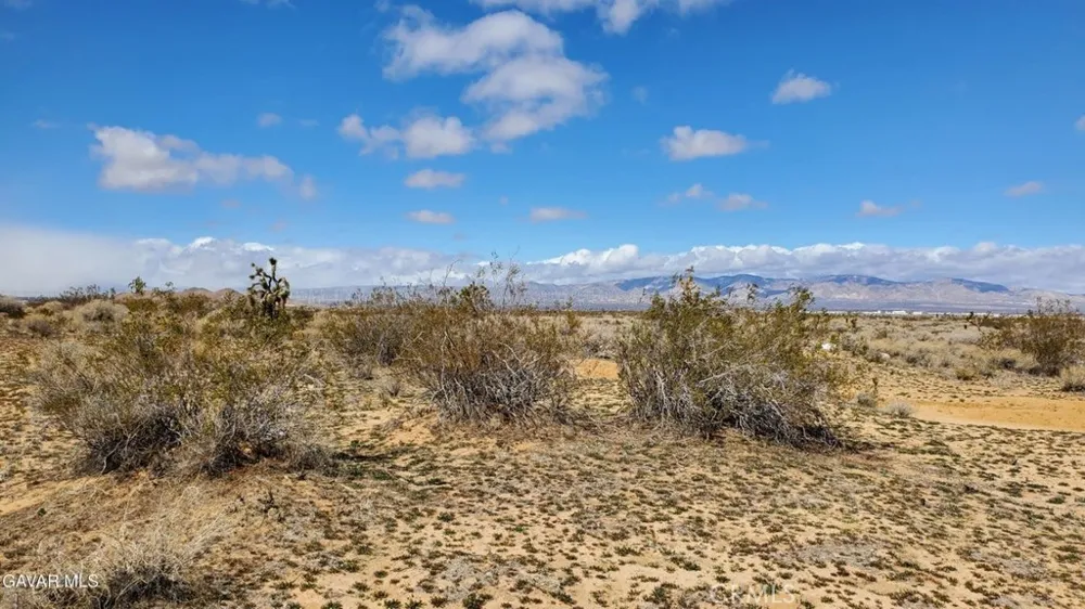 Reed Ave Mojave, CA 93501