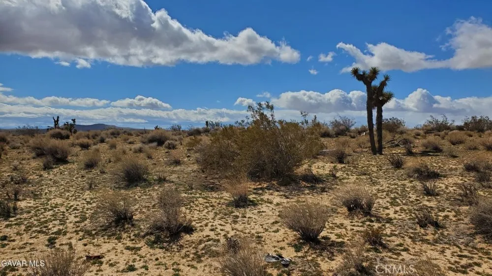 Reed Ave Mojave, CA 93501