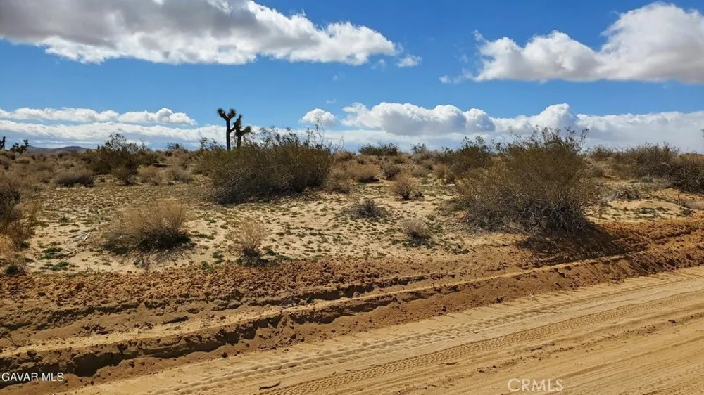 Reed Ave Mojave, CA 93501