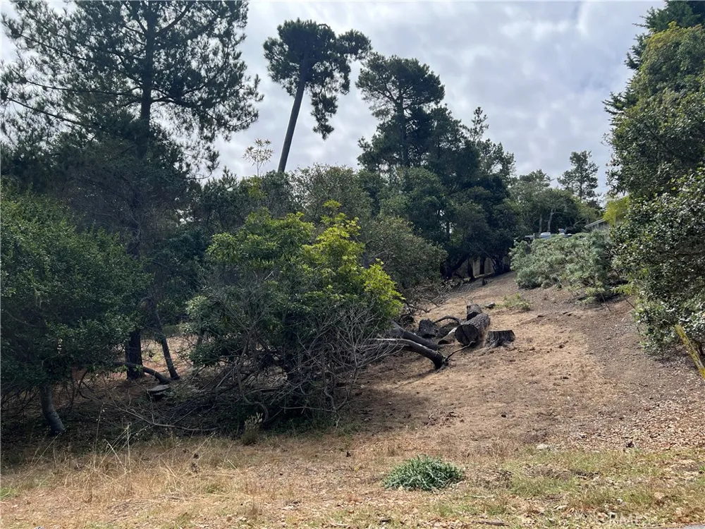 1280 Warren Road Cambria, CA 93428