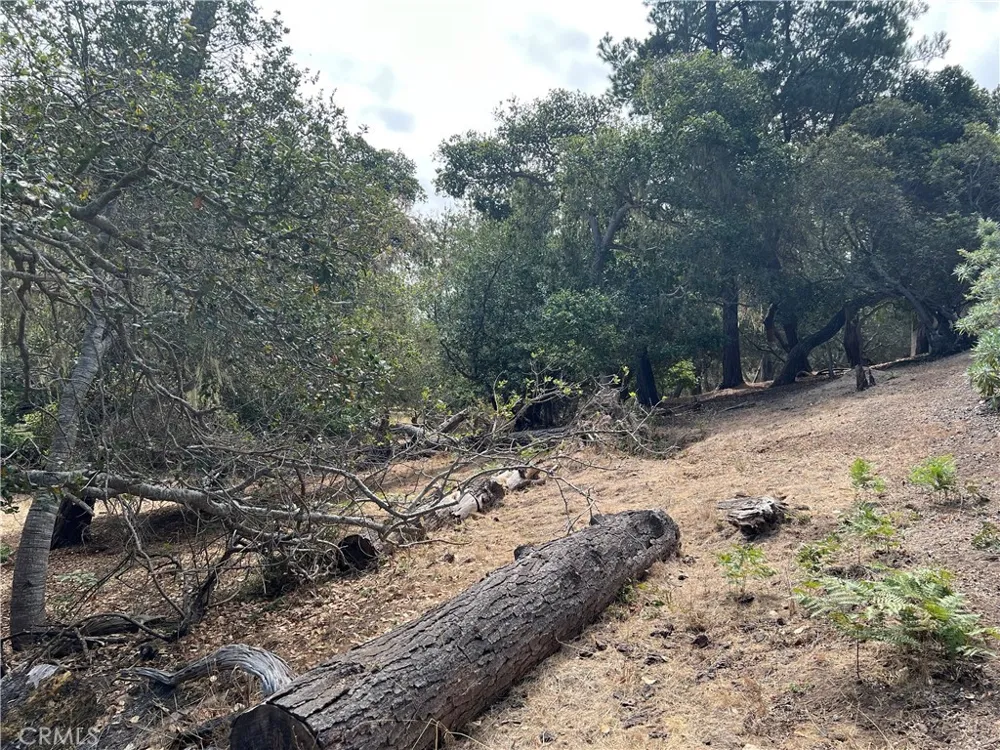 1280 Warren Road Cambria, CA 93428