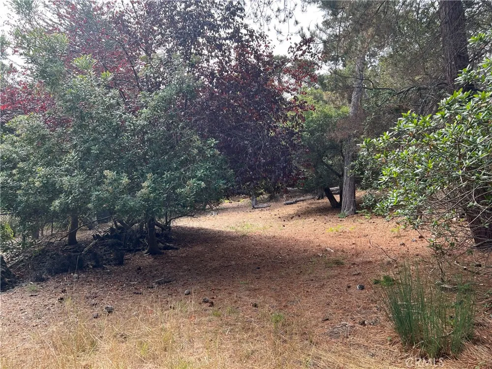 1280 Warren Road Cambria, CA 93428