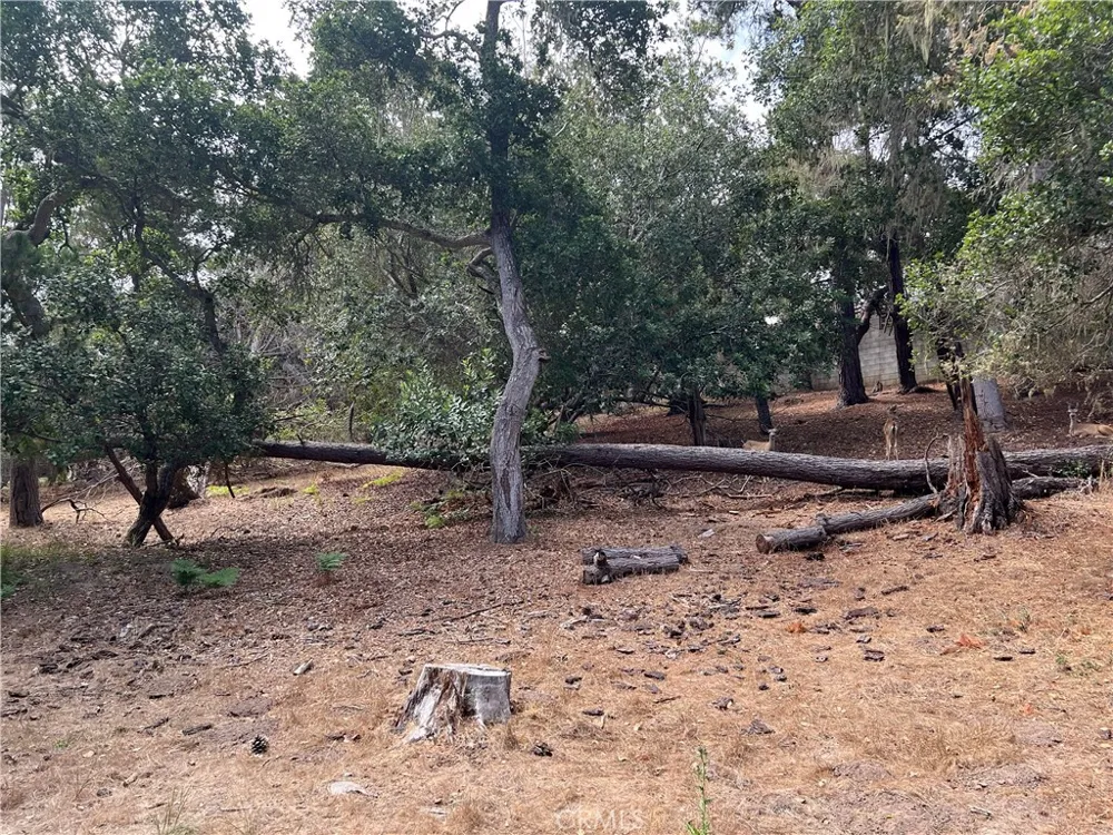 1280 Warren Road Cambria, CA 93428