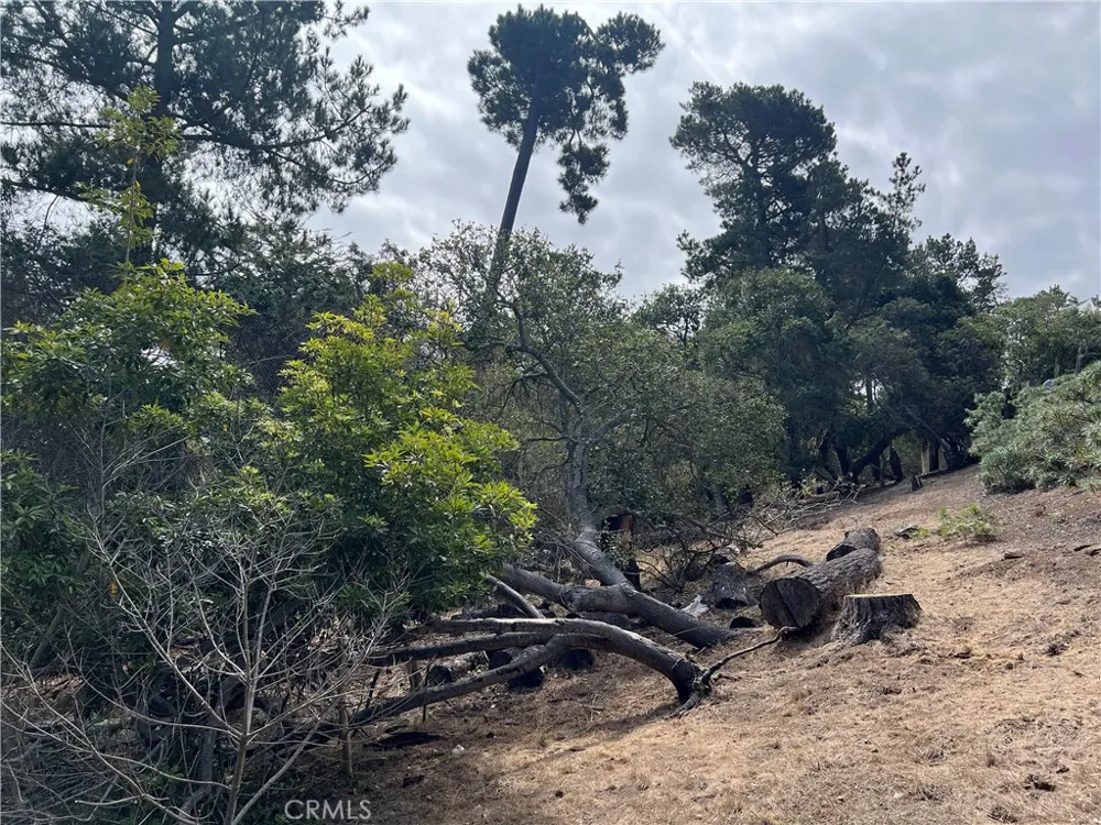 1280 Warren Road Cambria, CA 93428