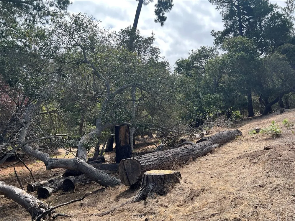1280 Warren Road Cambria, CA 93428