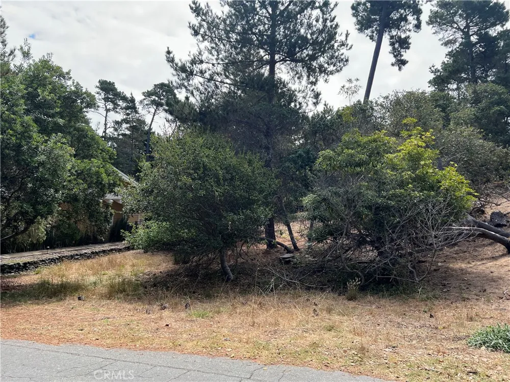 1280 Warren Road Cambria, CA 93428