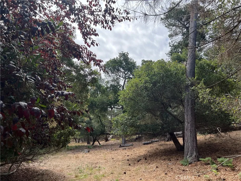 1280 Warren Road Cambria, CA 93428