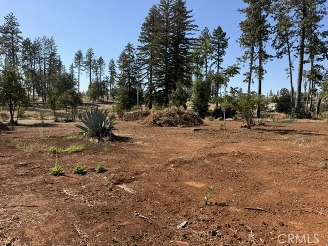 6284 Azalea Paradise, CA 95969
