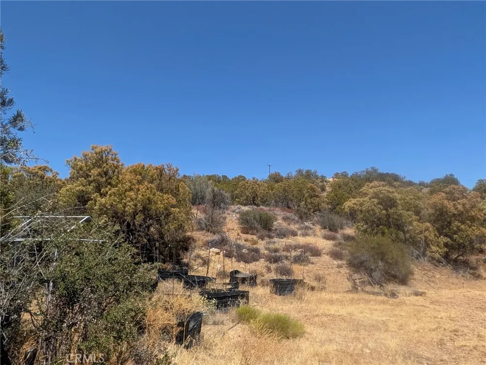 Upper Tule Road Anza, CA 92539