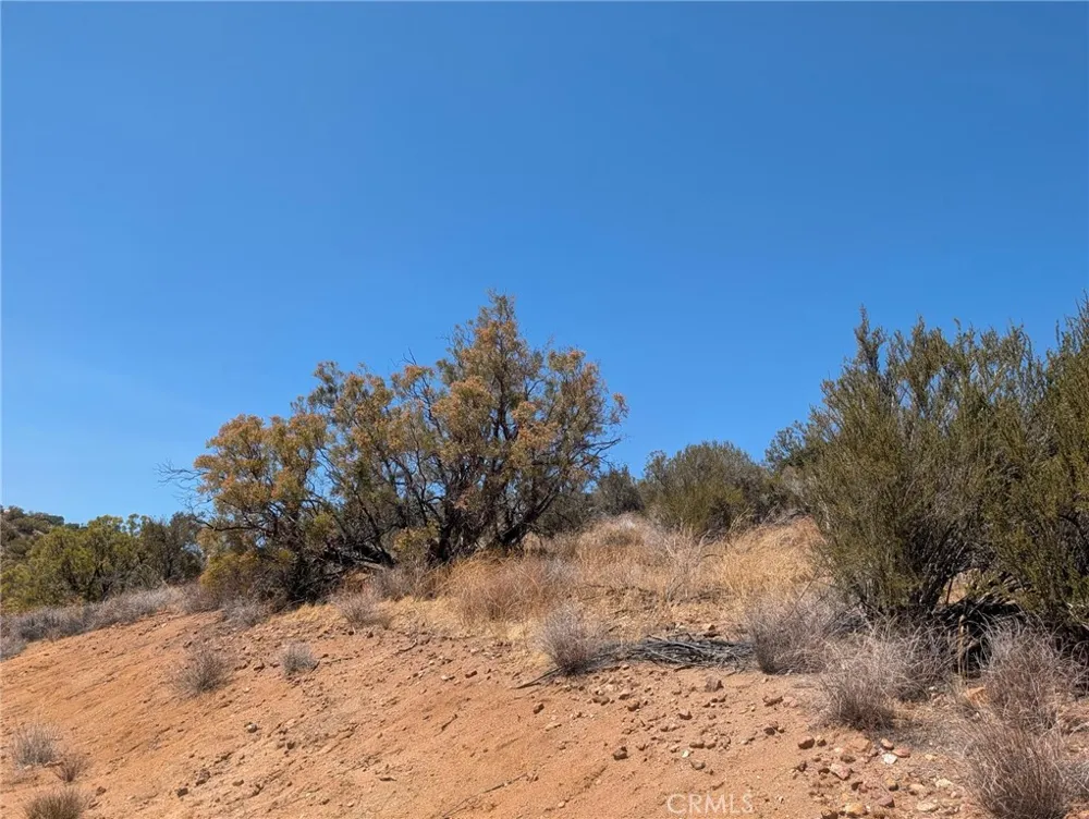 Upper Tule Road Anza, CA 92539