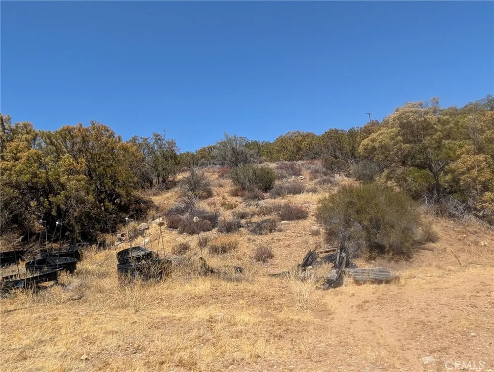 Upper Tule Road Anza, CA 92539